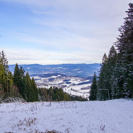 Charmante Ferienwohnung Mit Sauna Und Schwimmbad Im Zauberhaften Bayerischen Wald Sankt Englmar Extérieur photo