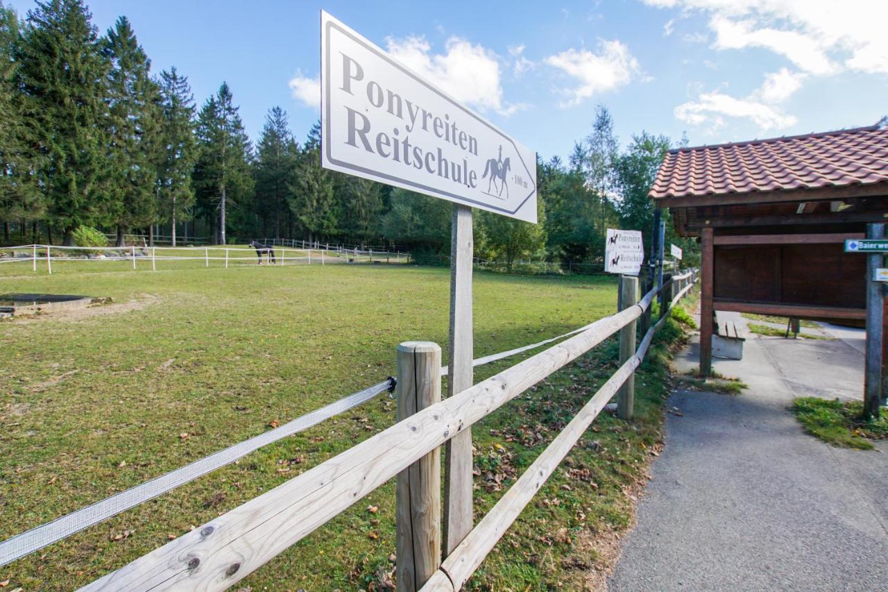 Charmante Ferienwohnung Mit Sauna Und Schwimmbad Im Zauberhaften Bayerischen Wald Sankt Englmar Extérieur photo